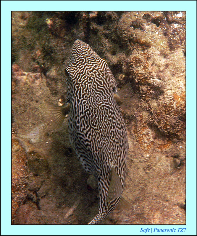 2013 - 01 - Koh Poda 18